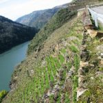 130215_bancales_rio_sil_01_p