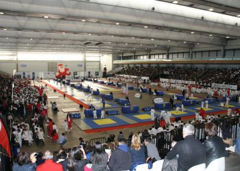 Más de 1.500 jóvenes judokas tomaron el Ifevi