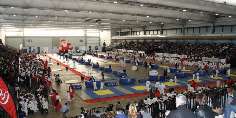 Más de 1.500 jóvenes judokas tomaron el Ifevi