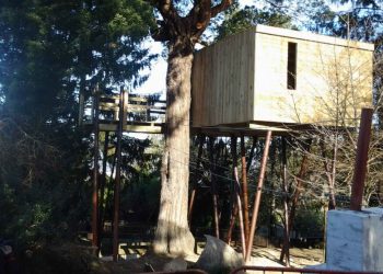 El rey Julien y la cabaña del árbol, nuevas atracciones en Vigozoo