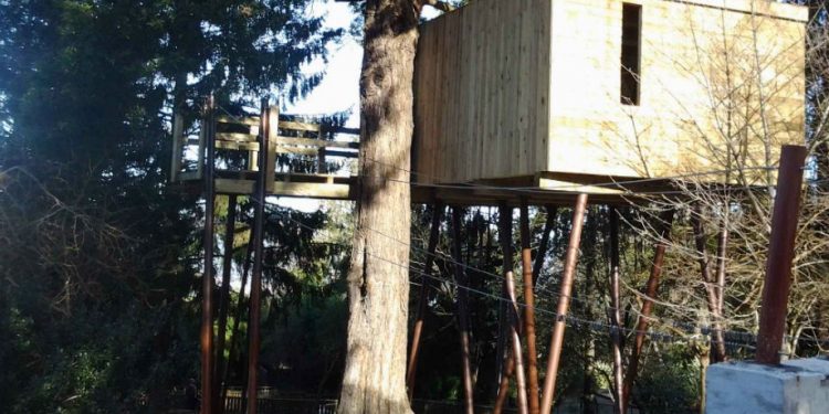 El rey Julien y la cabaña del árbol, nuevas atracciones en Vigozoo