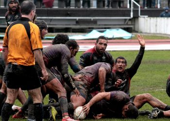 A paixón ovalada atópase no lameiro