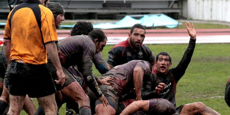 A paixón ovalada atópase no lameiro