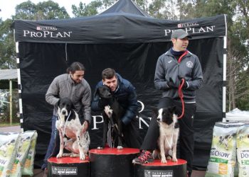 Jornada atlética y festiva con el canicross y la San Silvestre