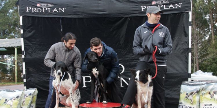 Jornada atlética y festiva con el canicross y la San Silvestre
