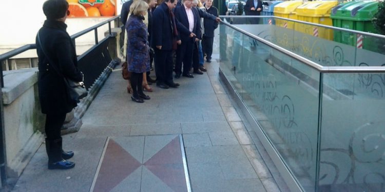 Camelias luce cara nueva