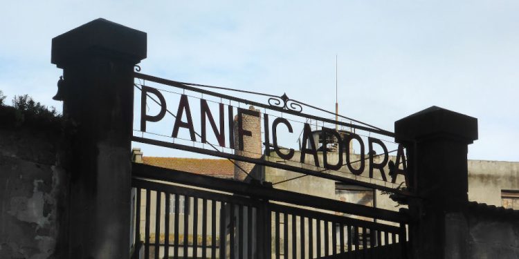 15-1-24Panificadora_4