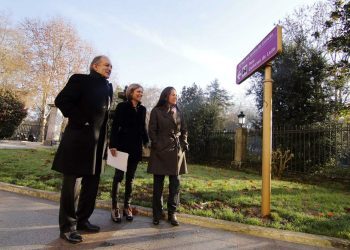 A flor insignia de Galicia luce en Vigo