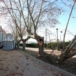 27-01-15AccidenteContenedorJulinEstvez_02