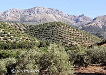Por la sorprendente geología de la Subbética Cordobesa