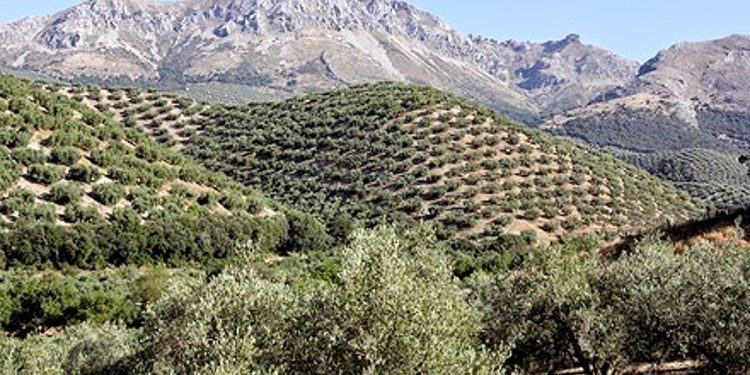 Por la sorprendente geología de la Subbética Cordobesa