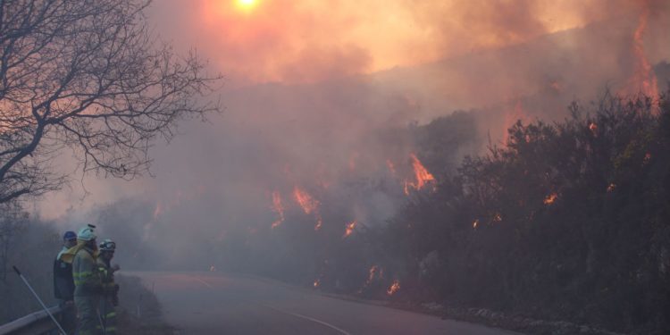 Las brigadas forestales inician quemas preventivas en la provincia para limpiar montes