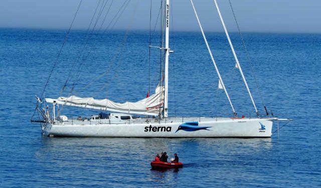 Sterna sale del Caribe a la búsqueda y recuperación de boyas oceanográficas del proyecto SPURS