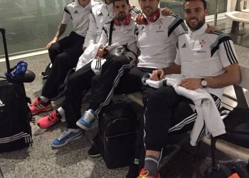 De brotes verdes a tallos vigorosos