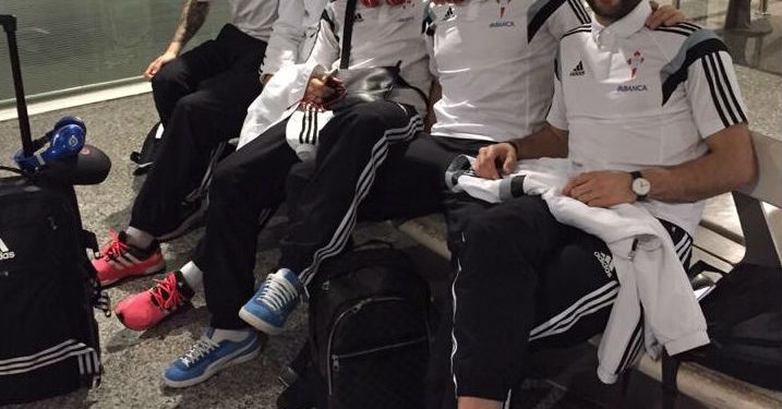 De brotes verdes a tallos vigorosos