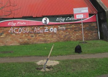 Louzán: “De momento no hay convenio para Balaídos; es triste, pero el alcalde es un irresponsable”