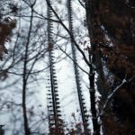 15-02-04NieveGudia_05