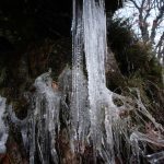 15-02-04NieveGudia_06