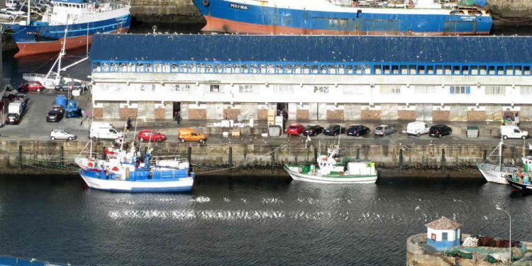 Vigo bate su récord histórico de pesca