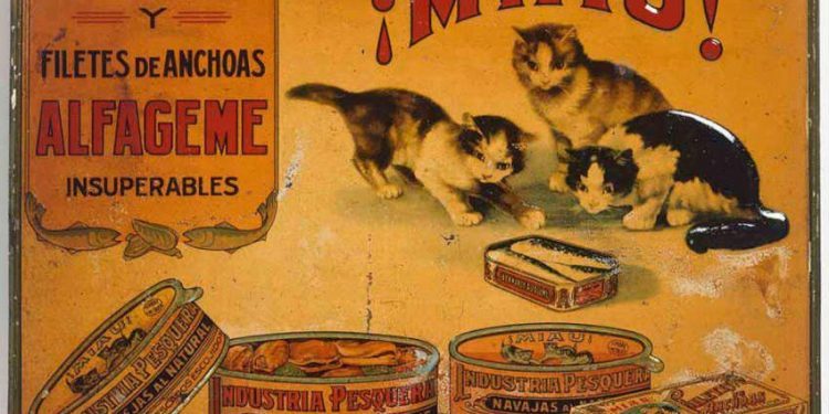 Bernardo Alfageme: de Zamora a Vigo con escala en Candás