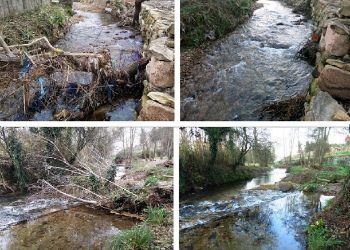 Limpeza de troncos e árbores no Lagares para evitar asolagamentos