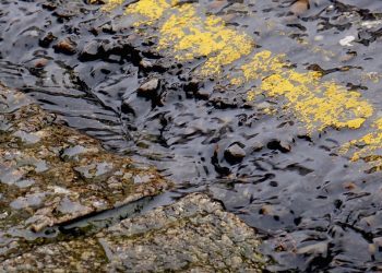 Esa lluvia que no cesa