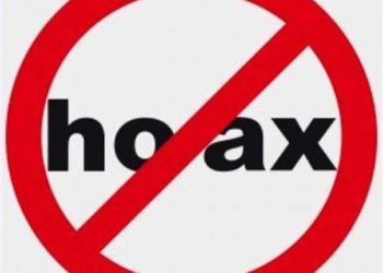 «Hoax» o bulos en la Red