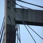 IMG_2330