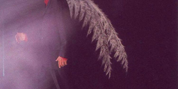 Reflexionando un Vigo musical