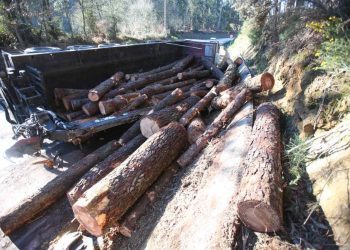 Un camión cargado con troncos vuelca en Ribadelouro