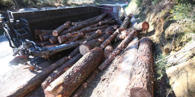 Un camión cargado con troncos vuelca en Ribadelouro