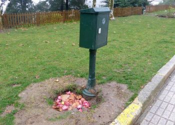 Donde mueren las flores