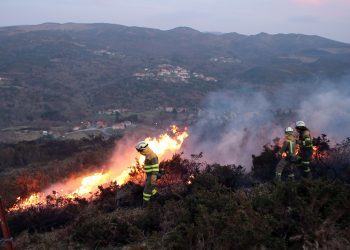 Un incendio arrasa 50 hectáreas de monte raso en A Lama