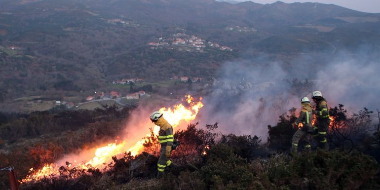 Un incendio arrasa 50 hectáreas de monte raso en A Lama