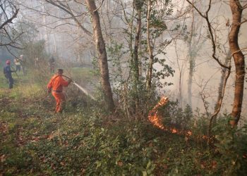 Controlados los incendios que arrasaron Padróns y Ribadetea durante más de 24 horas