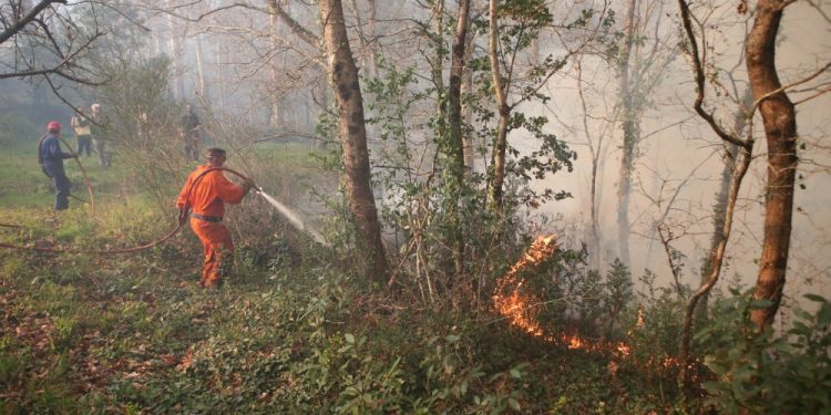Controlados los incendios que arrasaron Padróns y Ribadetea durante más de 24 horas