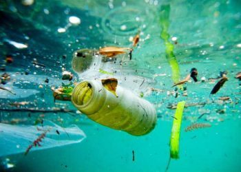 “Race for Water Odyssey”, a la caza de las islas de basura