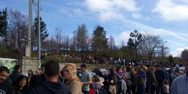 Colas interminables en el Zoo durante la jornada de puertas abiertas