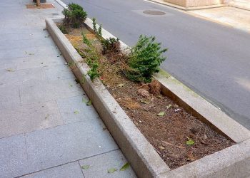 Vandalismo ciudadano