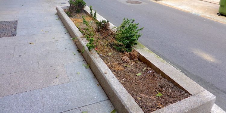 Vandalismo ciudadano