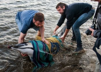 Brais Martínez. PB/Camposancos