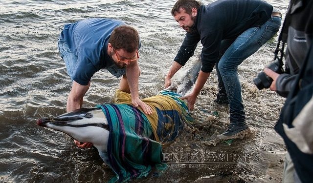 Brais Martínez. PB/Camposancos