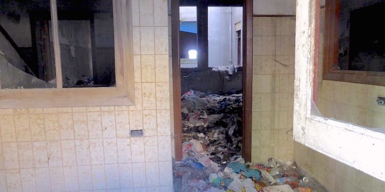 El estercolero del asilo