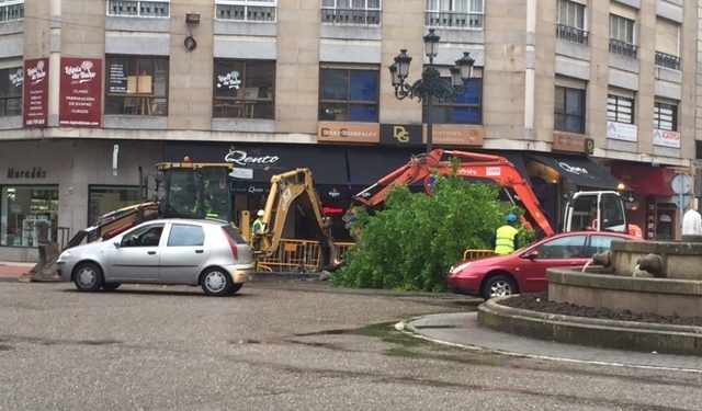El PP alerta de la «tala indiscriminada» de árboles en Rosalía de Castro