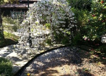 La Fundación Sales no se rinde ante la crisis