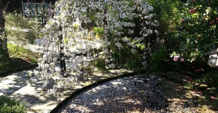 La Fundación Sales no se rinde ante la crisis