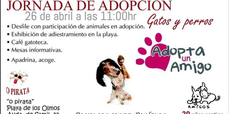 Perros y gatos, a la búsqueda de una familia en Samil