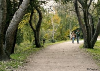 El plan verde iluminará el Lagares y mejorará el parque de Navia