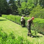 15-05-25CastrelosJardn_01