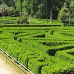 15-05-25CastrelosJardn_011